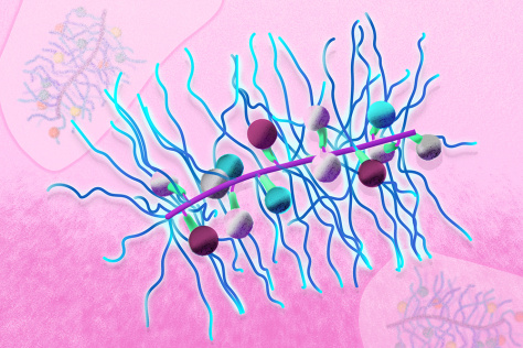 Illustration of bottlebrush nanoparticle, with strands and spheres radiating from a central trunk