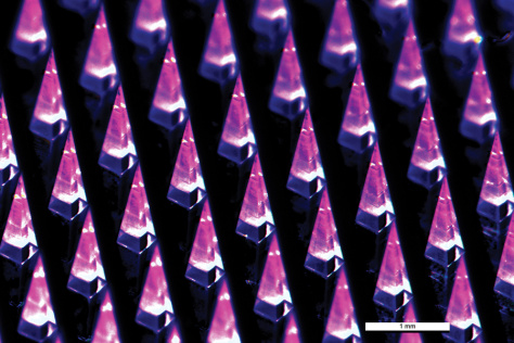 Close up view of microneedles, showing several rows of pink, pointy pyramids