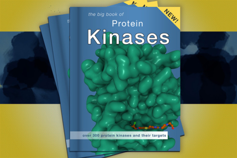 Illustration of a stack of books entitled "the big book of protein kinases"