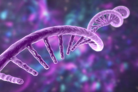 3D rendering of a purple helix of RNA