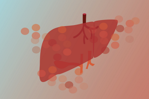 An illustration of liver cells