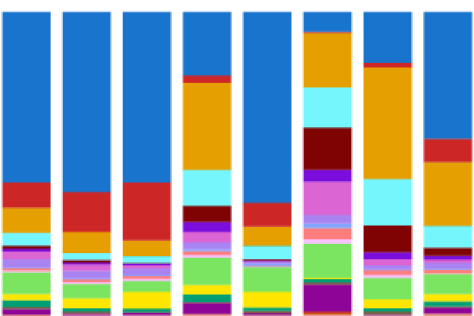 Excerpt of a bar graph, with 8 bars each consisting of varying length sections of different colors       