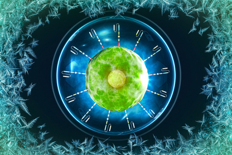 A CAR-T cell in a protective bubble, with an icy background.