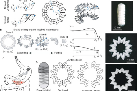 A chart with black and white origami-like shapes