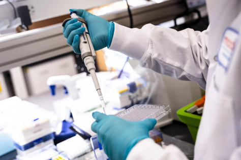 Close-up of the arms of scientist in white lab coat wearing blue gloves and holding an injection device. 