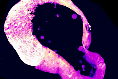 an image of the moon in infrared infrared