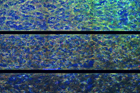 Abstract image featuring layered patterns in vibrant blues and greens, with textured speckling. Dark horizontal lines divide sections, creating a mosaic effect.
