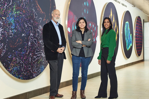 Matrisome Bio's co-founders, Noor Jailkhani, Richard Hynes and Sangeeta Bhatia, standing in front of a wall filled with colorful scientific images in the Koch Institute Public Gallery. 