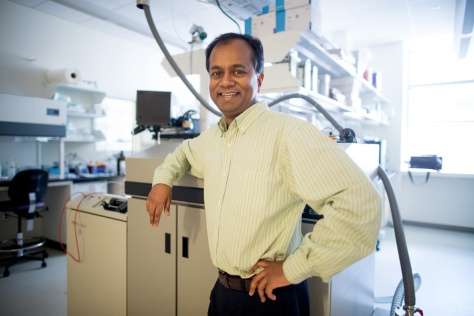 Photo of Ram Sasisekharan wearing a pale yellow shirt standing in his laboratory and smiliing for the camera 