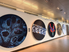 Five gallery images, the first has a parasite in the nucleus followed by the next that looks like a silver bracelet with jewels