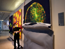 KI Images winner unveiling an image of a green, spherical organoid