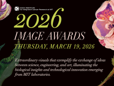 Black background, pink and purple flowers with event name and date