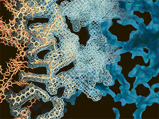 Stick model molecules in orange (left) transition into their electron microscopy counterparts in blue (right)