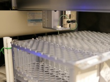 A large rack of test tubes under a machine