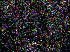 computer model of cancer cell growth showing swirls of multicolored, paint-like strokes on a black background