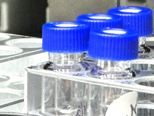 Blue-capped vials in a clear plastic rack