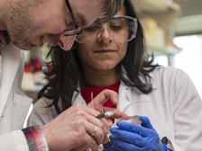 One research holds up a small device while another works on it