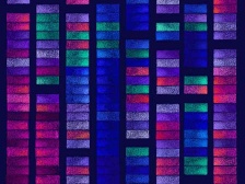 a multicolored grid of rectangles 